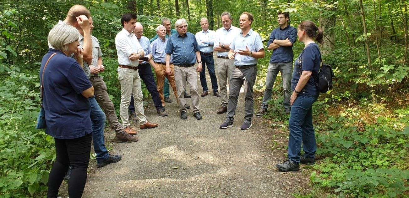 Döhrenberg Gruppe im Wald